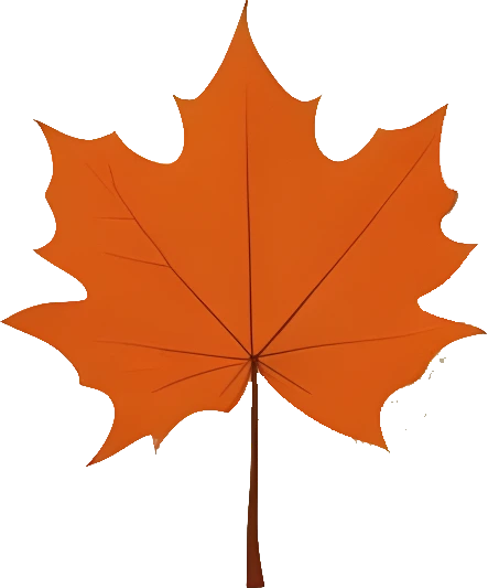 Downloadable Transparent Leaf PNG Image_11.webp
